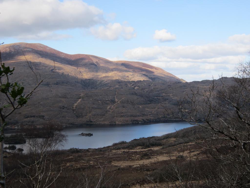 Feirm Cottage Kenmare Luaran gambar