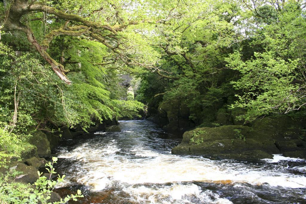 Feirm Cottage Kenmare Luaran gambar